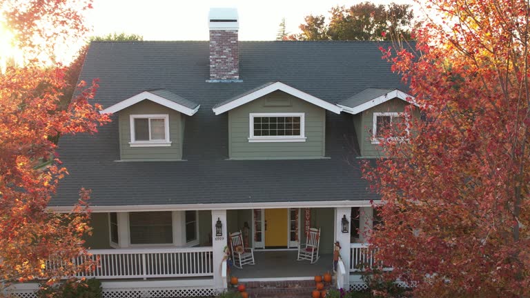 Best Asphalt Shingles Roofing  in Chigan Center, MI