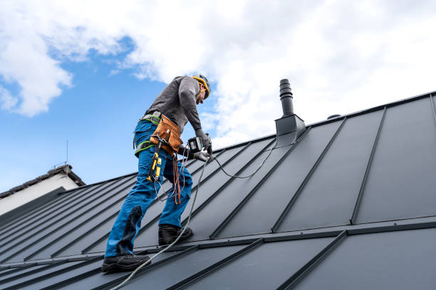 Best Roof Leak Repair  in Chigan Center, MI